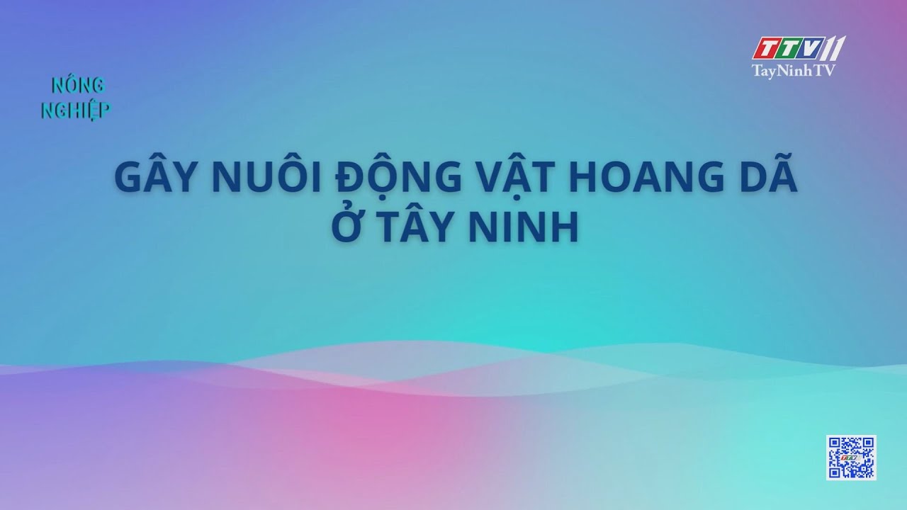 Gây nuôi động vật hoang dã ở Tây Ninh | NÔNG NGHIỆP TÂY NINH | TayNinhTV